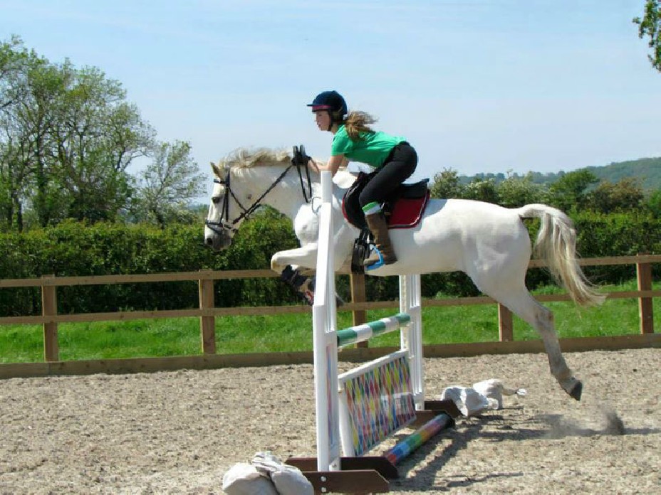 horse and rider in action in Sperrings Equestrian arena