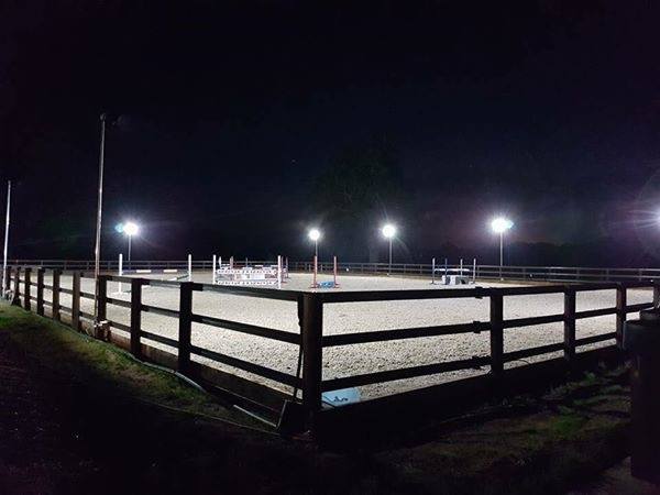 Arena at Night