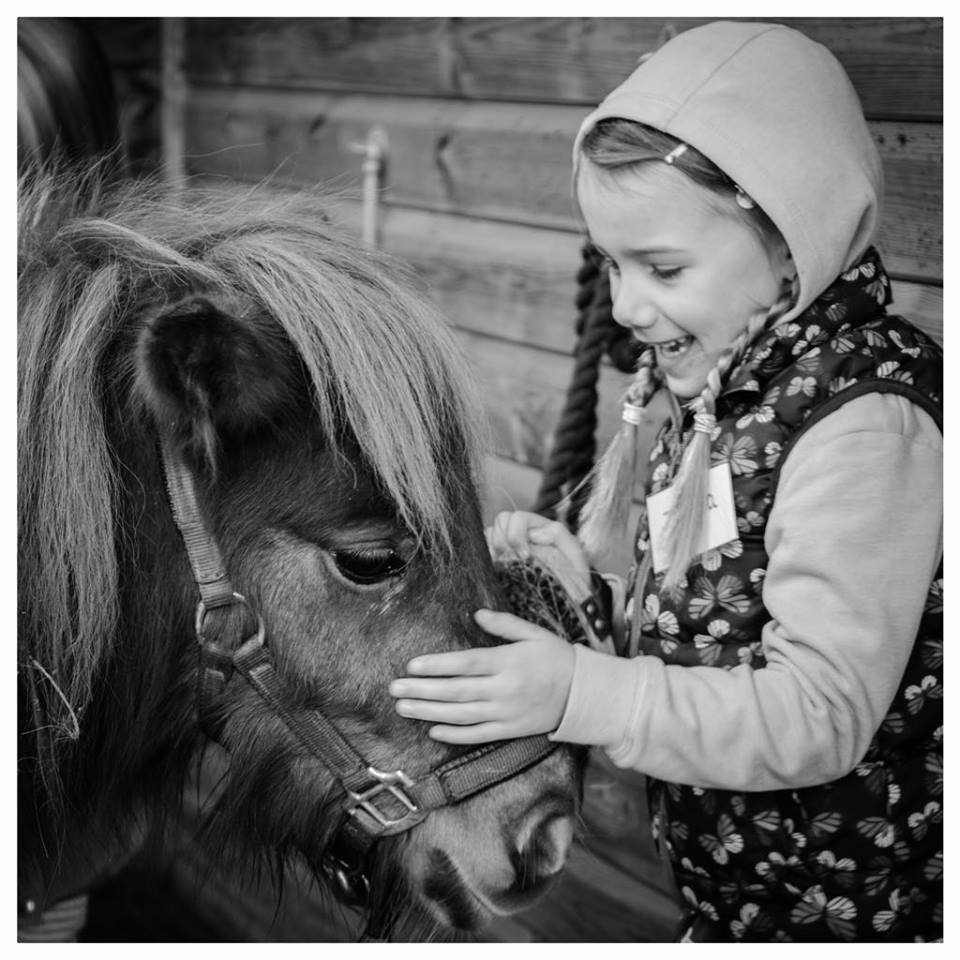 Pony Parties - Our ponies Caramel, Buttons & Fudge